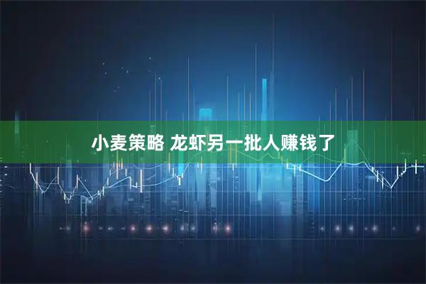 小麦策略 龙虾另一批人赚钱了