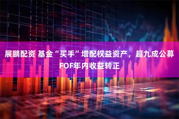 展鵬配资 基金“买手”增配权益资产，超九成公募FOF年内收益转正