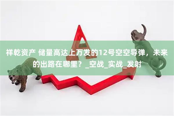 祥乾资产 储量高达上万发的12号空空导弹，未来的出路在哪里？_空战_实战_发射