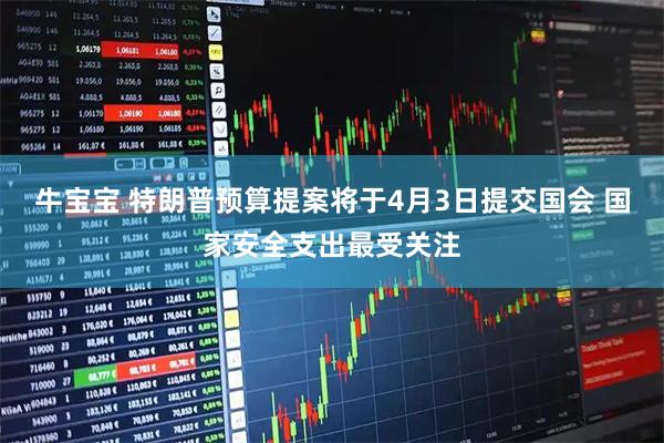 牛宝宝 特朗普预算提案将于4月3日提交国会 国家安全支出最受关注