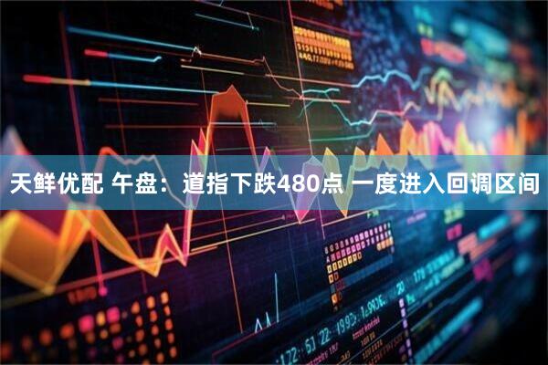天鲜优配 午盘：道指下跌480点 一度进入回调区间