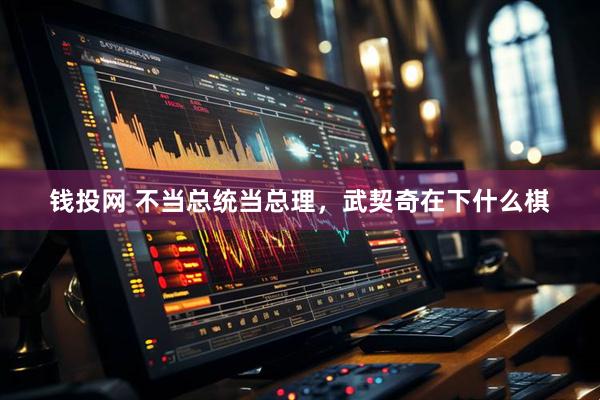 钱投网 不当总统当总理，武契奇在下什么棋